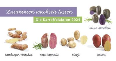 Quelle: Kartoffelaktion 2024