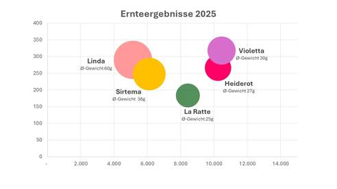 Quelle: Kartoffelaktion 2025